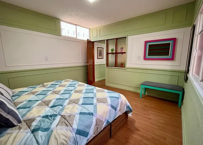 In Condesa Ideal For Work And Relaxation Apartment